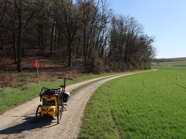 zwischen Niederkreuzstetten und Hautzendorf