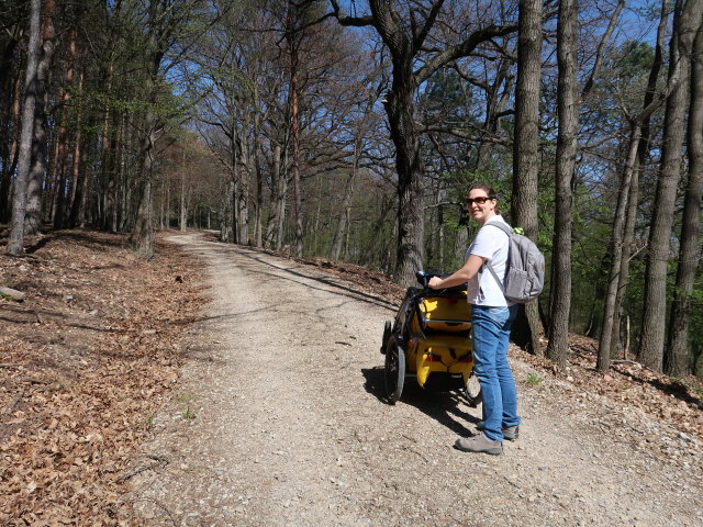 Sabine zwischen Schacherplatz und Dianawiese