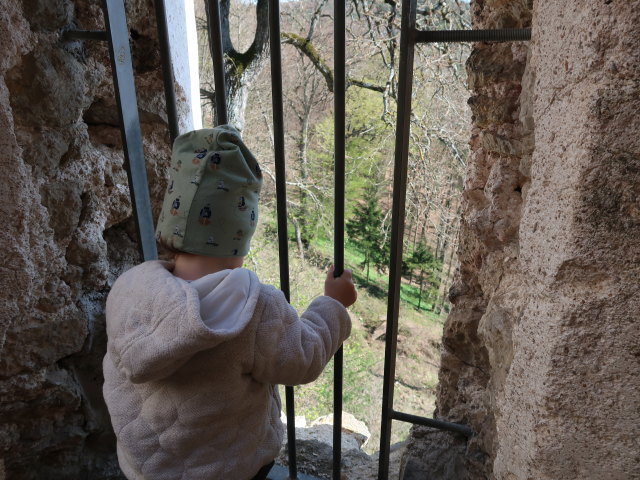 Nils in der Ruine Johannstein