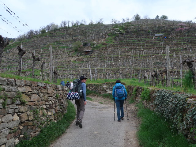 Tim, Sonja, Katja Lin, Stefan und Kerstin zwischen Spitz an der Donau und Rotem Tor
