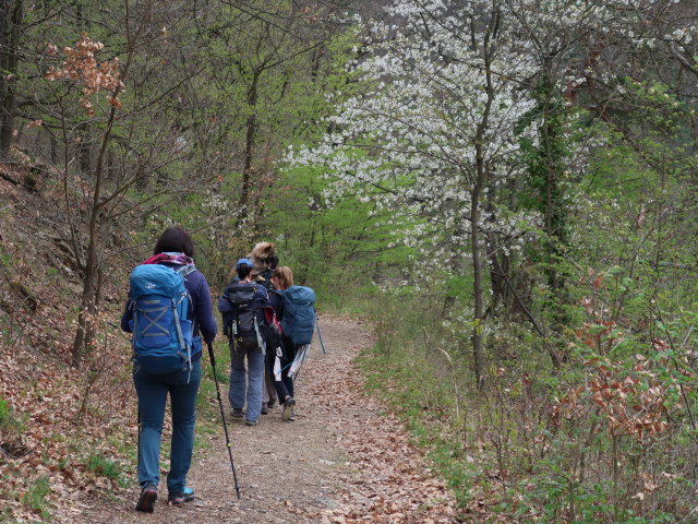 Kerstin, Sonja und Katja Lin am Welterbesteig zwischen Mieslingtal und St. Michael