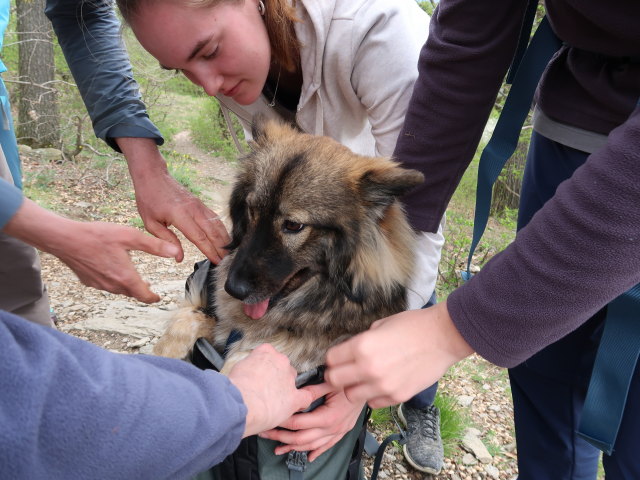 Katja Lin am Welterbesteig zwischen Mieslingtal und St. Michael