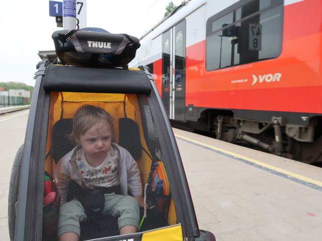 Nils im Bahnhof Bad Deutsch-Altenburg, 171 m