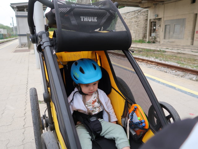 Nils im Bahnhof Bad Deutsch-Altenburg, 171 m