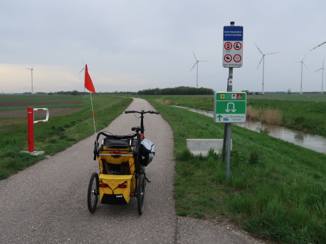 Russbach bei Engelhartstetten