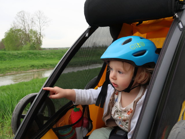 Nils zwischen zwischen Engelhartstetten und Haringsee