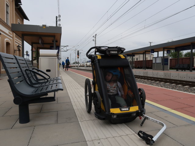 Nils im Bahnhof Siebenbrunn-Leopoldsdorf, 152 m