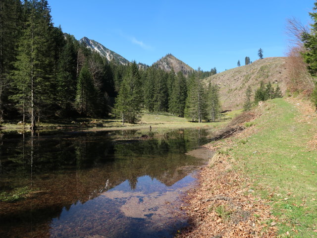 zwischen P&ouml;lzau und Seisenalm