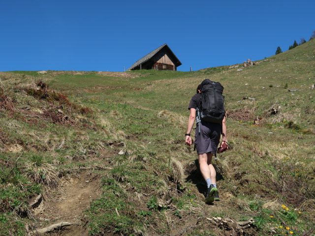 Ronald zwischen P&ouml;lzau und Seisenalm