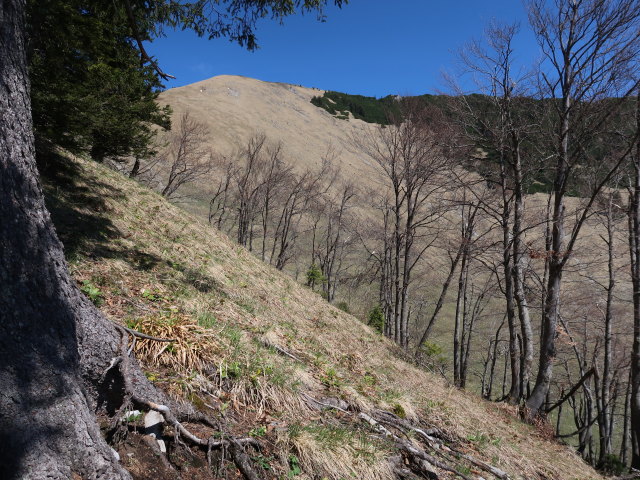 zwischen Seisenalm und Gro&szlig;em Maiereck