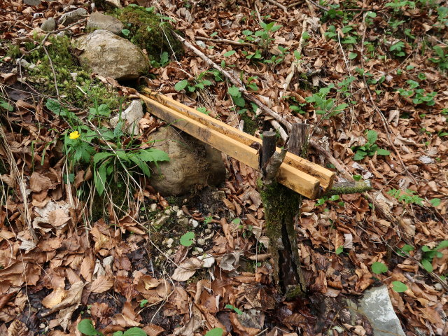 zwischen Sauboden und Spitzenbach