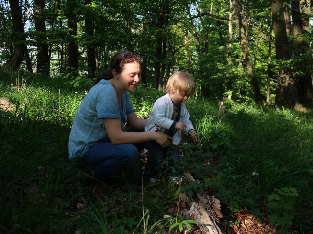 Sabine und Nils am Feuersteinberg, 507 m