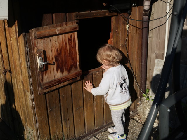 Nils im Garten meiner Eltern