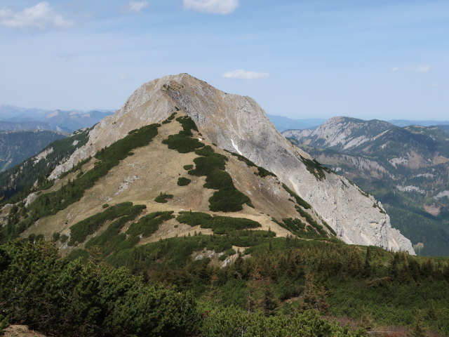 Großer Wildkamm