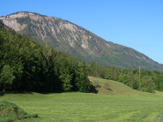Bleckwand