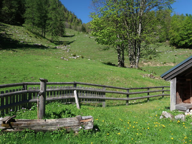 Dürntalalm, 977 m