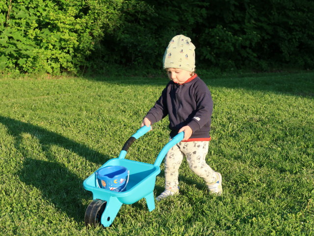 Nils