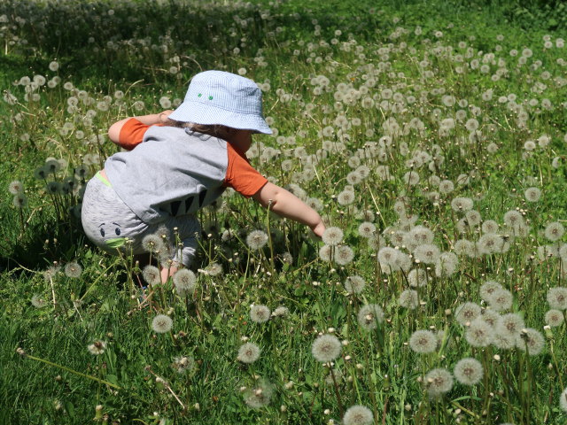 Schlosspark: Nils zwischen Schlosstheater Laxenburg und Triestingkanal