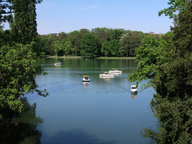 Schlosspark: Schlossteich