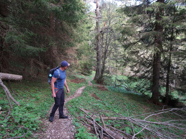 Mario zwischen Niederalpl und Sohlenalm