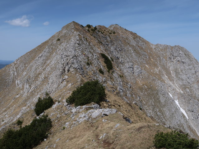 zwischen Gro&szlig;em Wildkamm und Gingatzwiese
