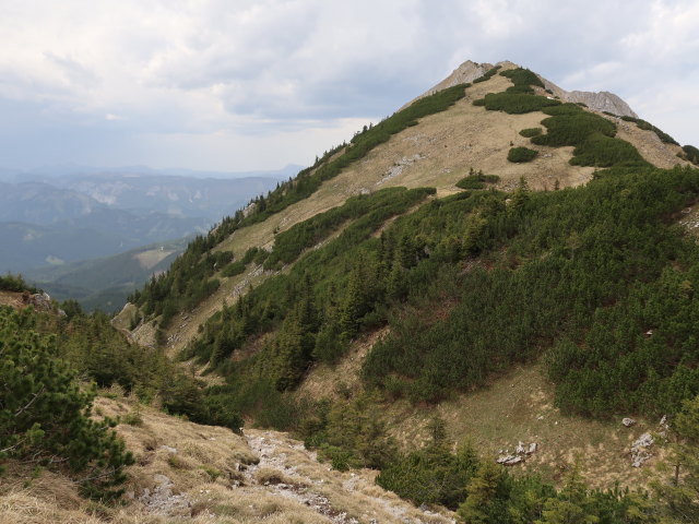 zwischen Gingatzwiese und Sohlenalm