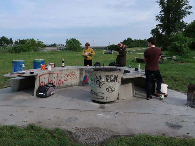 ?, Iris und ? auf der Donauinsel