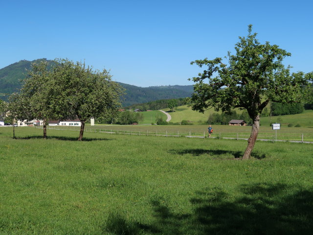 Frank zwischen Riedlbach und Oberaschau