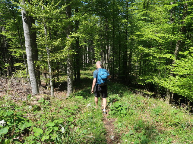 Frank zwischen Hochplettspitz und Skigebiet Hochplett / Oberaschau