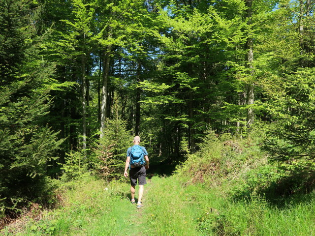 Frank zwischen Hochplettspitz und Skigebiet Hochplett / Oberaschau