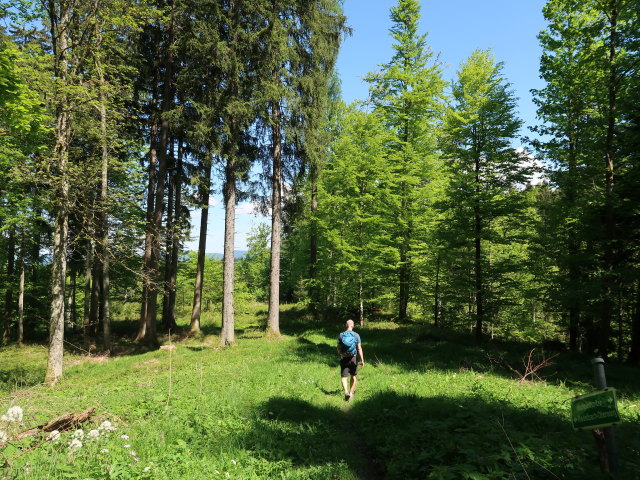 Frank zwischen Hochplettspitz und Skigebiet Hochplett / Oberaschau