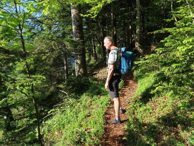 Frank zwischen Strobl und Brustwand