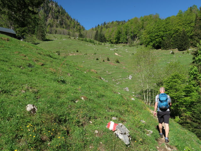 Frank zwischen Brustwand und D&uuml;rntalalm