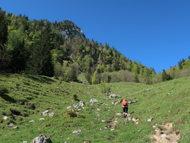 Melanie zwischen D&uuml;rntalalm und Sparber