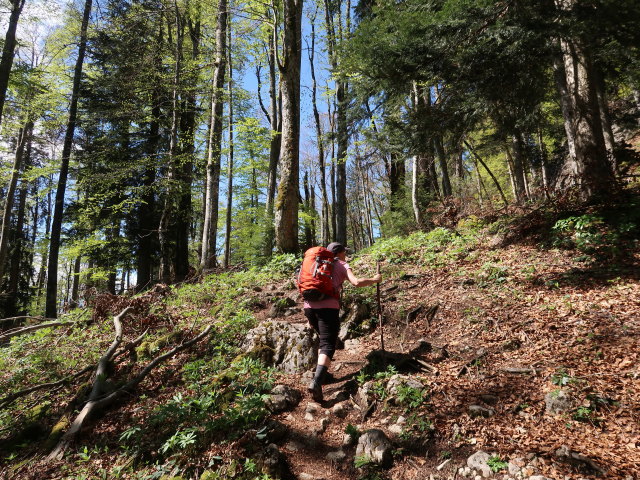 Melanie zwischen D&uuml;rntalalm und Sparber