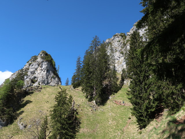 zwischen D&uuml;rntalalm und Sparber