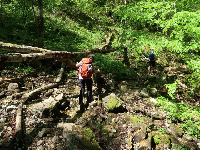 Melanie und Frank zwischen D&uuml;rntalalm und Gasthof Kleefeld