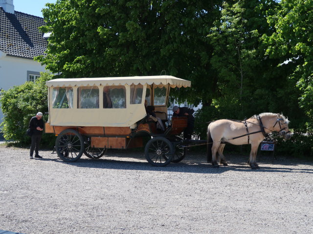 Oplevelsescenter Nyvang in Holb&aelig;k (17. Mai)