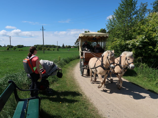 Sabine und Nils im Oplevelsescenter Nyvang in Holb&aelig;k (17. Mai)