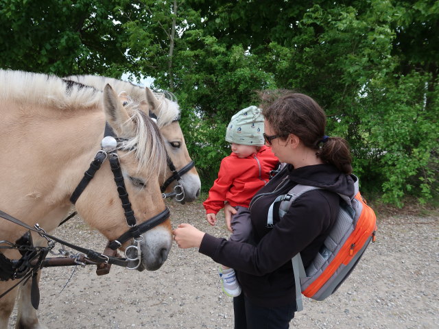Nils und Sabine im Oplevelsescenter Nyvang in Holb&aelig;k (17. Mai)