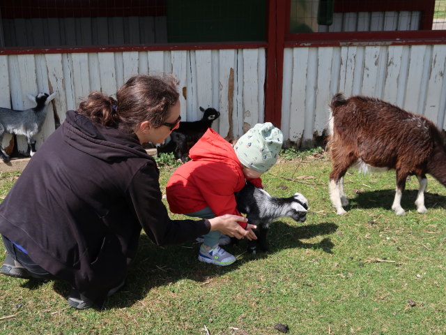 Sabine und Nils im Sommerland Sj&aelig;lland in N&oslash;rre Asmindrup (18. Mai)