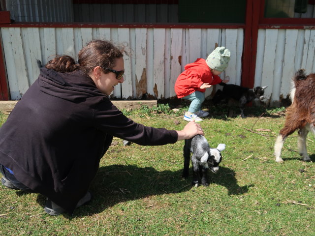 Sabine und Nils im Sommerland Sj&aelig;lland in N&oslash;rre Asmindrup (18. Mai)