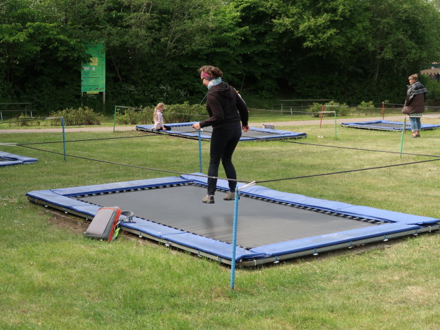 Sabine im Sommerland Sj&aelig;lland in N&oslash;rre Asmindrup (18. Mai)