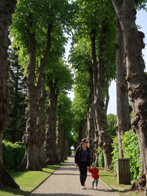 Sabine und Nils im Egeskov Haven in Kv&aelig;rndrup (19. Mai)