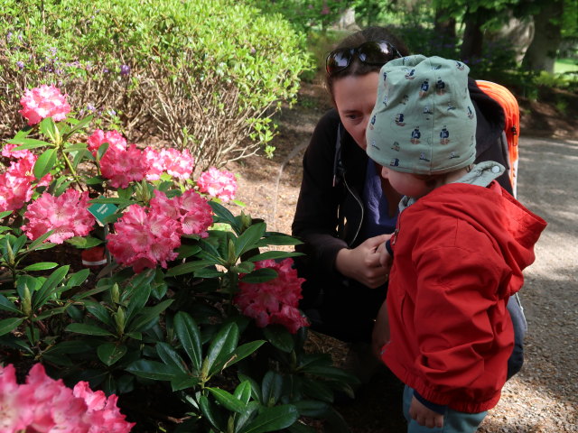 Sabine und Nils im Egeskov Haven in Kv&aelig;rndrup (19. Mai)