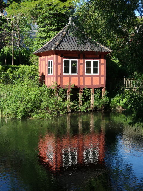 Odense &Aring; in Odense (19. Mai)