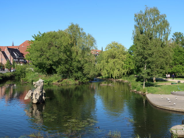 Odense &Aring; in Odense (19. Mai)