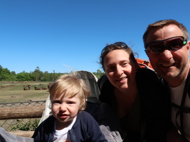 Nils, Sabine und ich bei den afrikanischen Tieren im Givskud Zoo in Give (20. Mai)