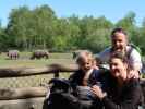 Nils, Sabine und ich bei den Breitmaulnash&ouml;rnern im Givskud Zoo in Give (20. Mai)