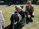 Nils und Sabine bei den Streichelziegen im Givskud Zoo in Give (20. Mai)
